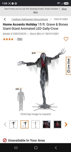 15 ft LED Gally Crow Homedepot