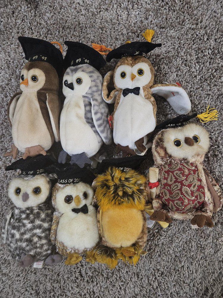Owl Graduation Beenie Babies