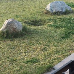 Real Big Beautiful Rocks