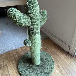 Cat tree cactus 