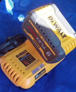 Dewalt 8 Amp fast charger  and one Dewalt  flex volt