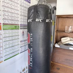 Punching Bag And Speed Bag 