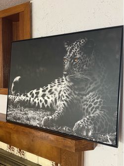Leopard Portrait