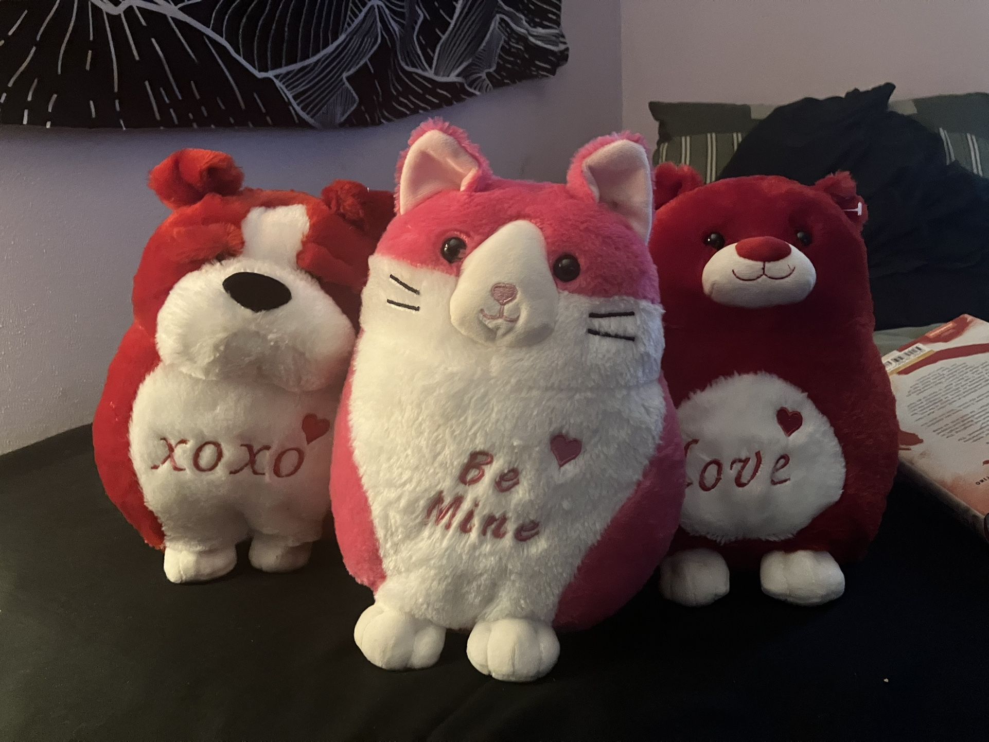 SET 3 Valentine’s Day Squishmallows with Love Messages
