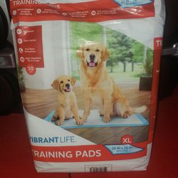 Vibrant Life 30 Count Training Pads (5 Missing, So there are 25 Left) 