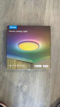 Govee Celling Light