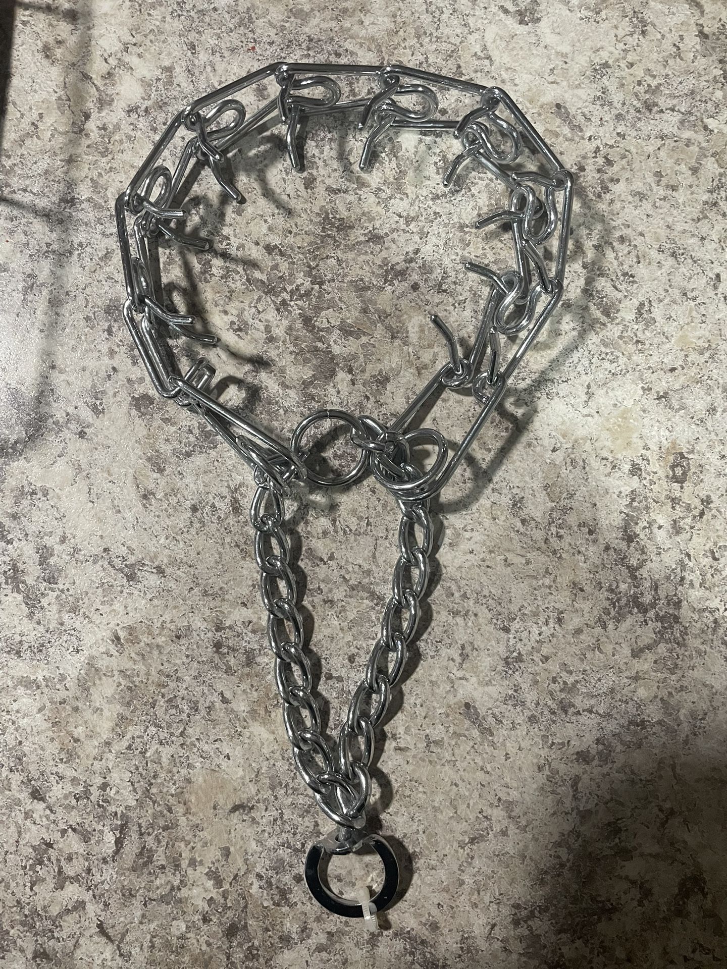 Dog Collar