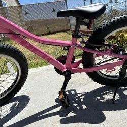 Trek 16 Precaliber Kids Bike