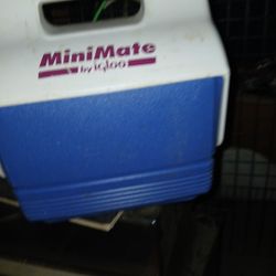Small COOLER