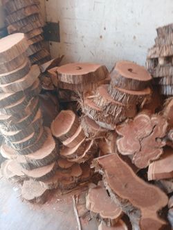 Natural Wood Slices Lot