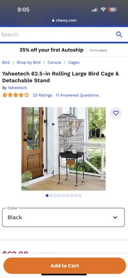 Bird Stand