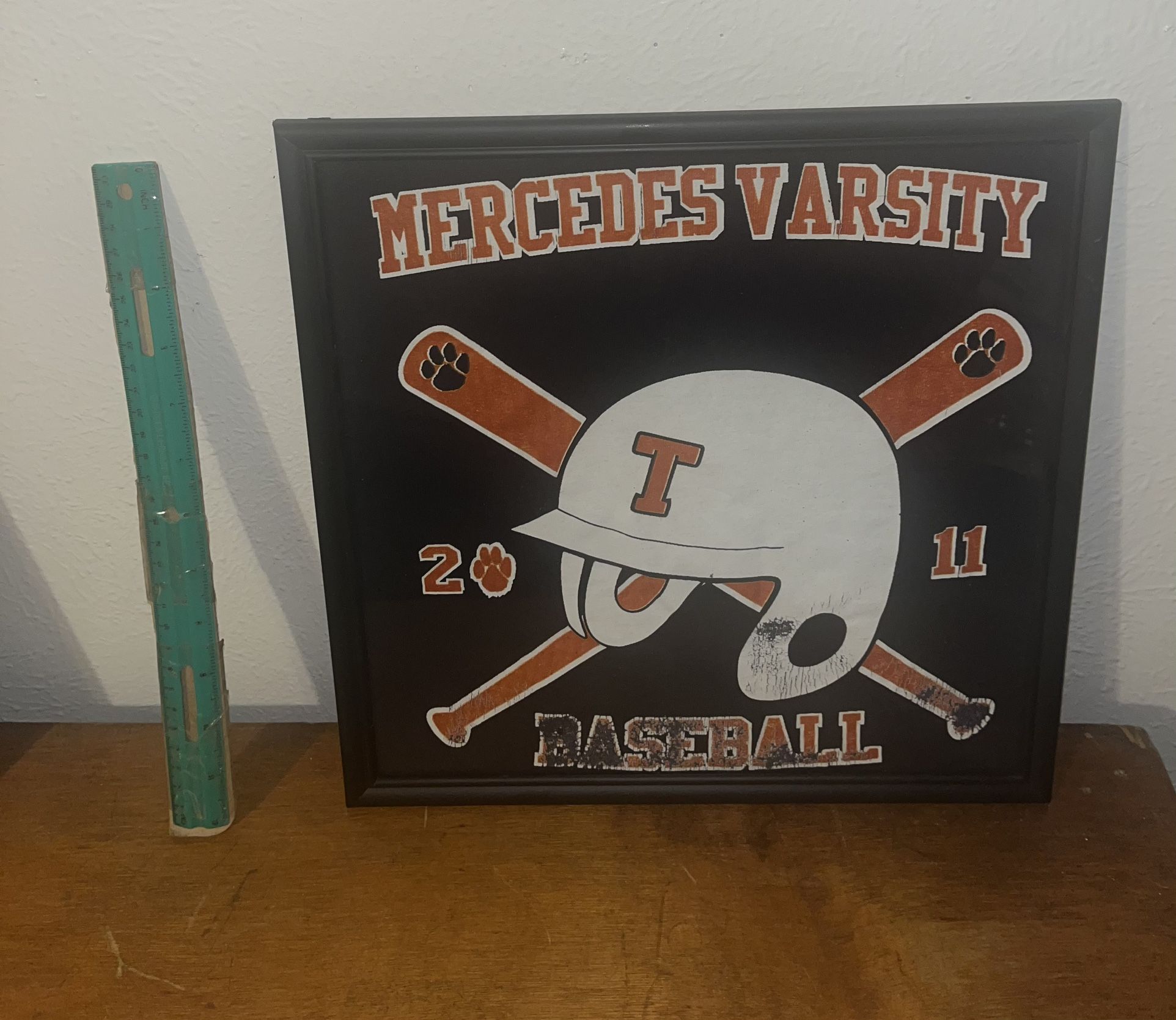 Mercedes Tigers Frame