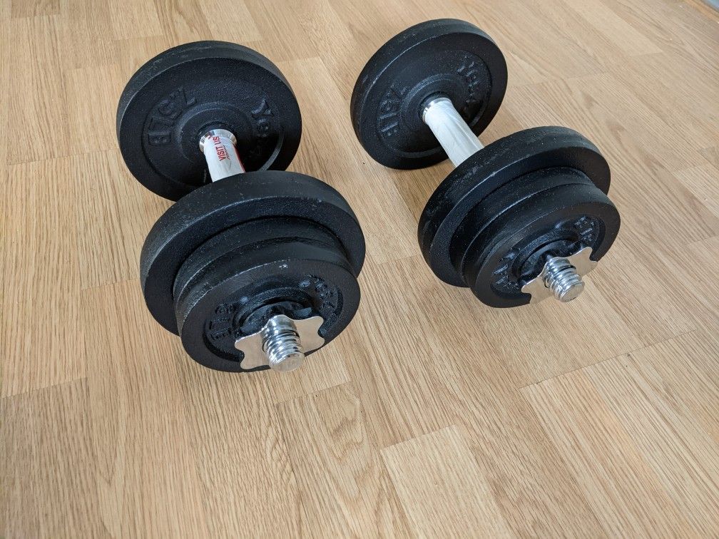 Adjustable Dumbbell Pair 25 lbs x 2