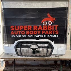 2020 Transit 150 Grille OEM 2024 