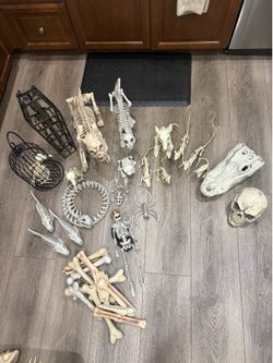 Lot of Halloween skeleton decoration props