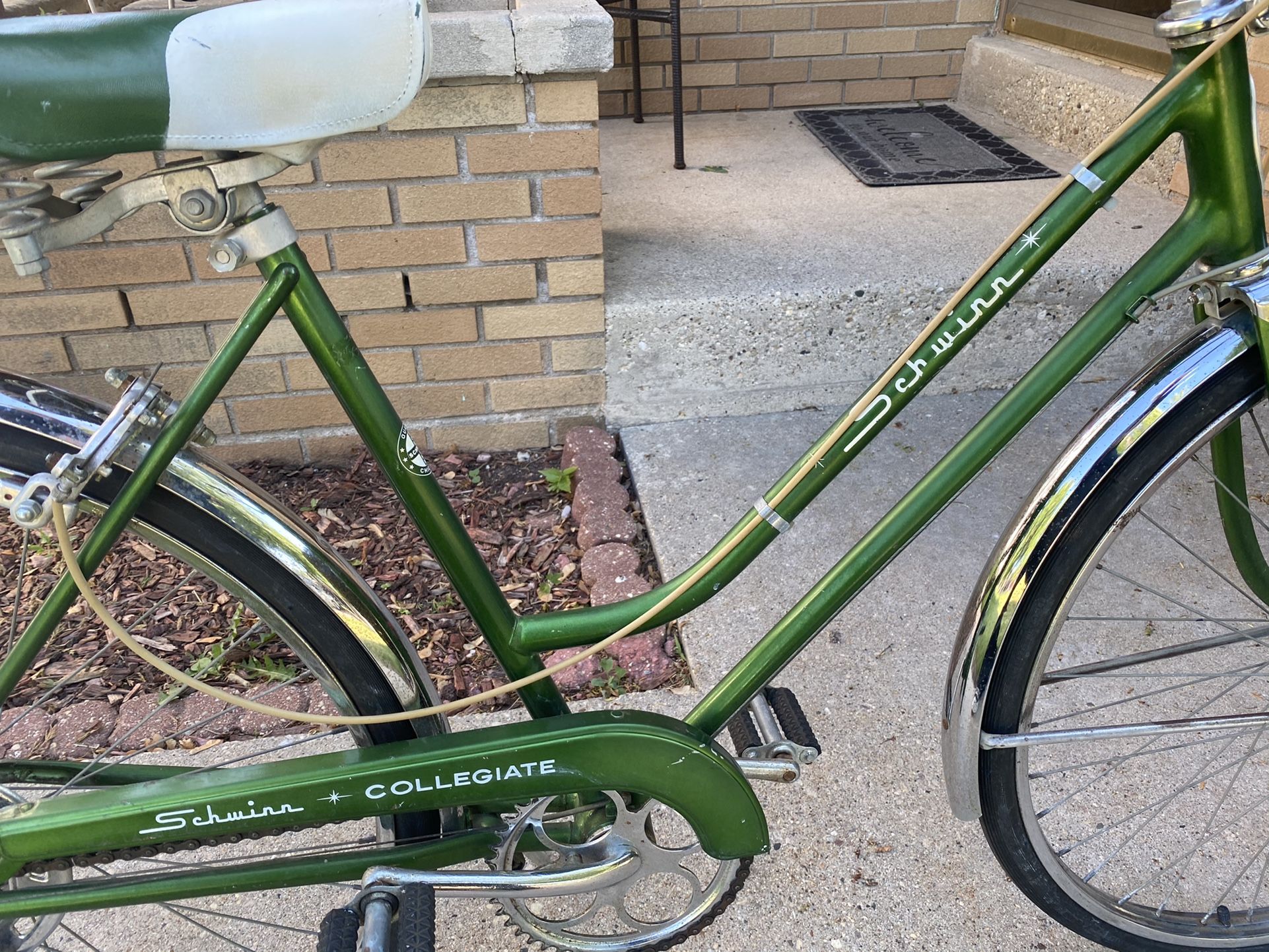 1969 schwinn collegiate sale