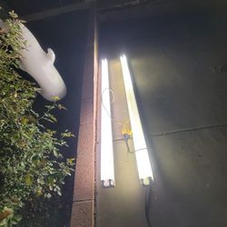 Shop Lights