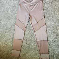 Sam Edelman Tan / Nude Part Leggings with Mesh Contrast -