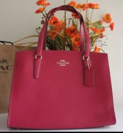 Coach Pink Hand Bag