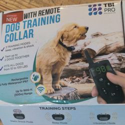 Training Dog Collar