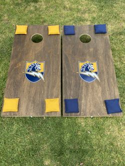 Custom Cornhole Boards with bags