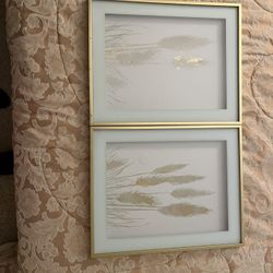 2 Nice Clean Pictures