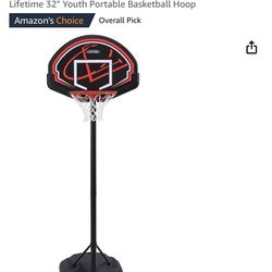 Youth Basketball Hoop