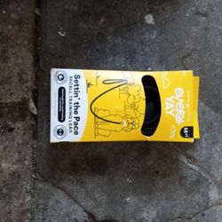 Every Yay Setting The Pace Recall Training Lead