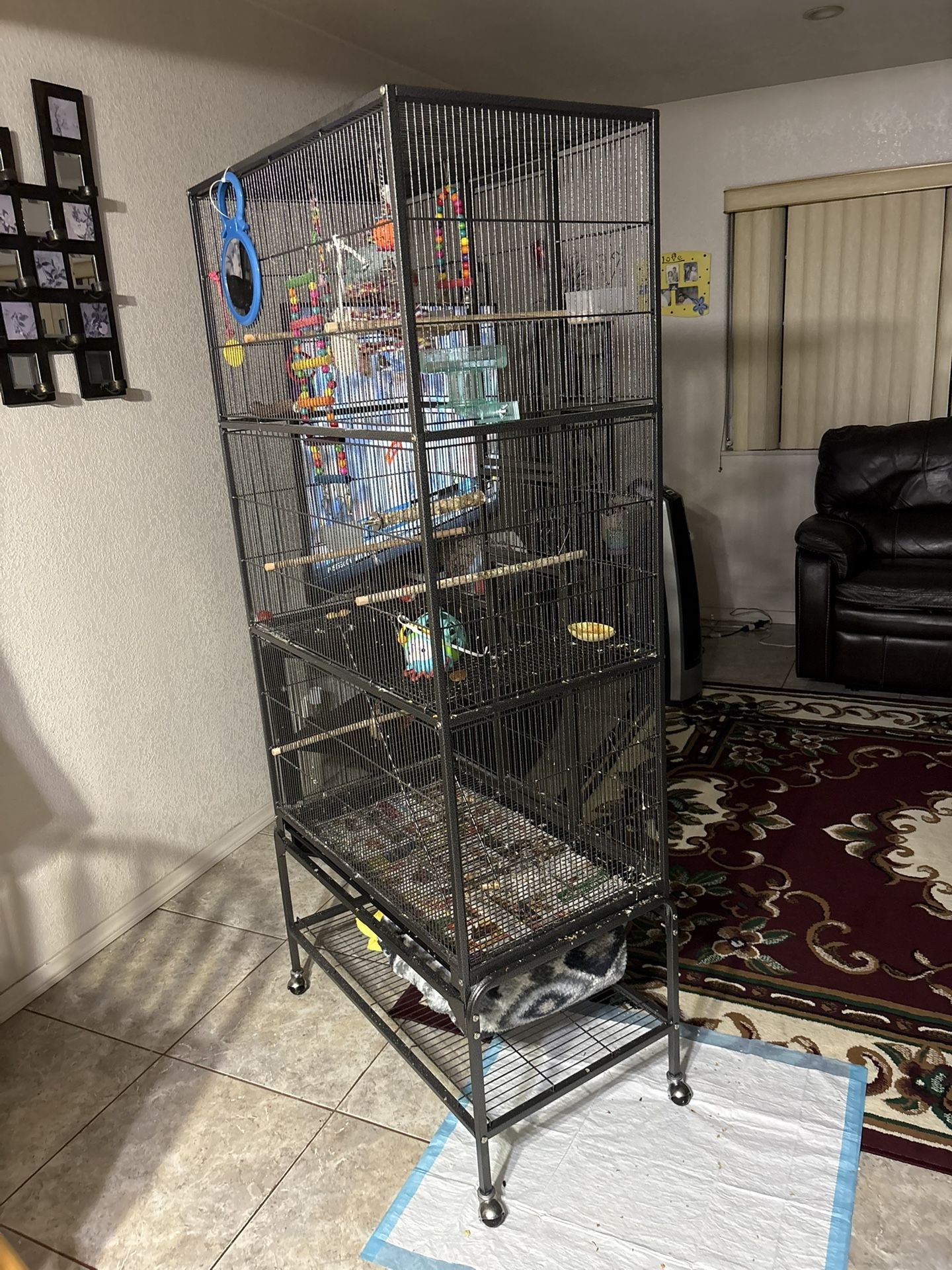 Cage For Bird