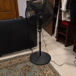 Lasso Three Speed Fan  With Timer You Can Set As Well Great Condition Adjustable On Stand 