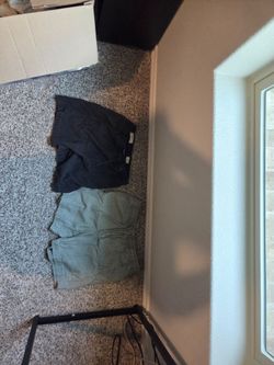 Pacsun shorts never worn