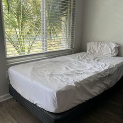 TWO Twin Bed frames - TWO Twin mattress 