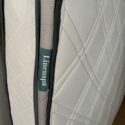 Free Full Size Like New Mattress