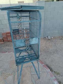 Cage It's a little faded.