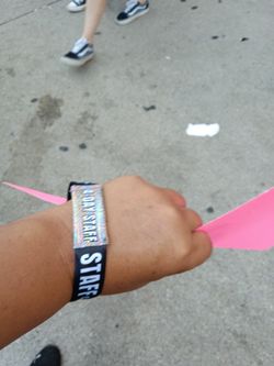 4 Days Lollapalooza