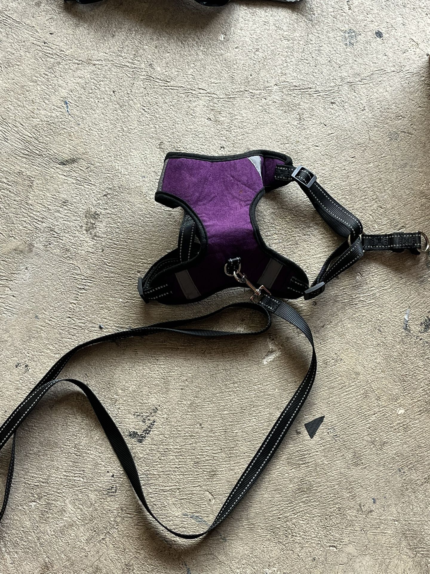 Dog Harness