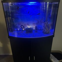 Fish Tank And Stand 