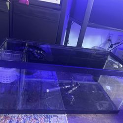 20gallon Long AIO 