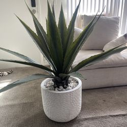 Artificial Plant Decor w/ Vase $100