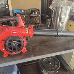 Gas Blower 