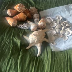 Shells