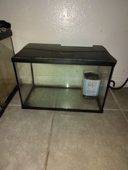 Fish Tank 