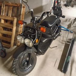 Honda Ruckus scooter