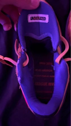 Kobe 5 protro hall of fame