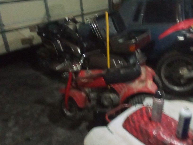 Trade Or Cash 800$