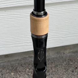 Daiwa BLX Casting Fishing Rod (JDM) New