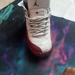 Jordan12s