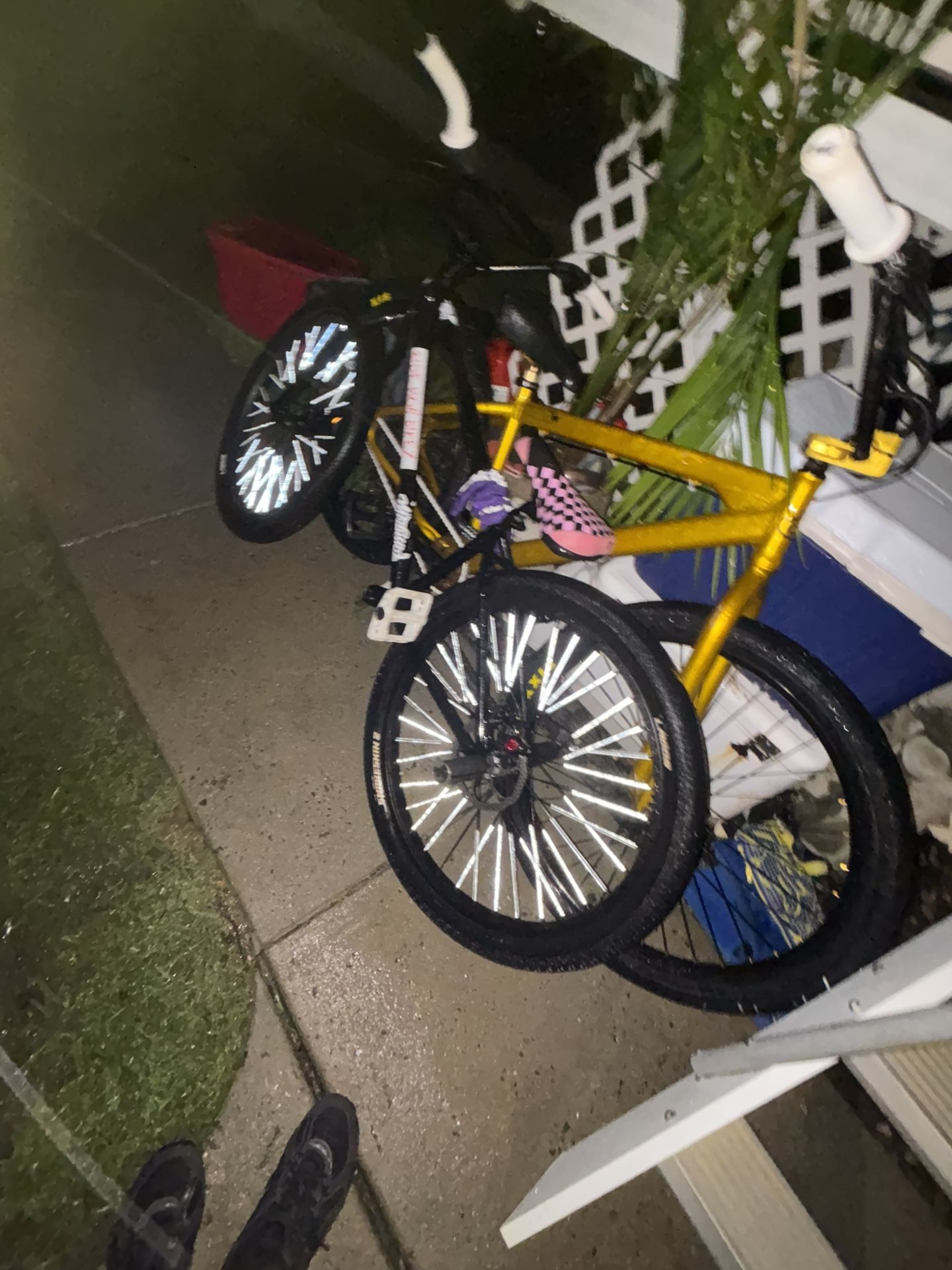 Mafia Medusa 26 inch