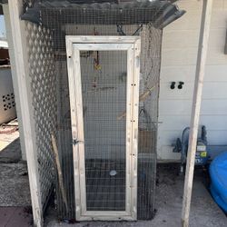 Bird Cage 