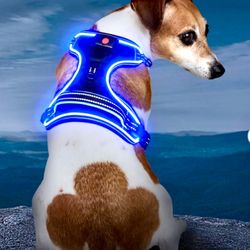 Vizbrite Light Up Dog Harness L Brand new - down from $60